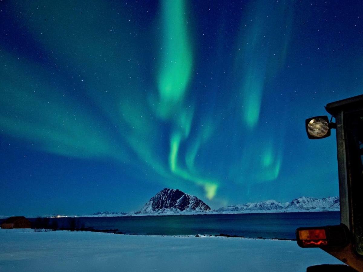 Elstad Farm Lofoten Bostad 외부 사진